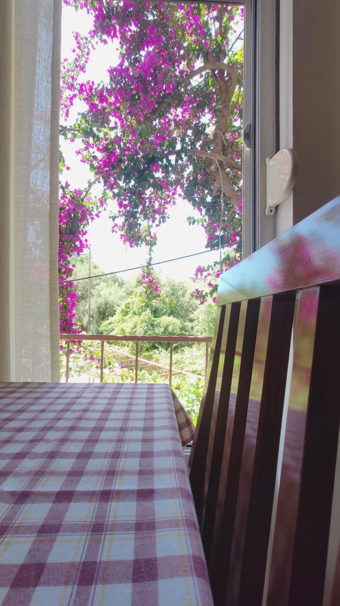 Apartments Ruza Budva Phòng bức ảnh